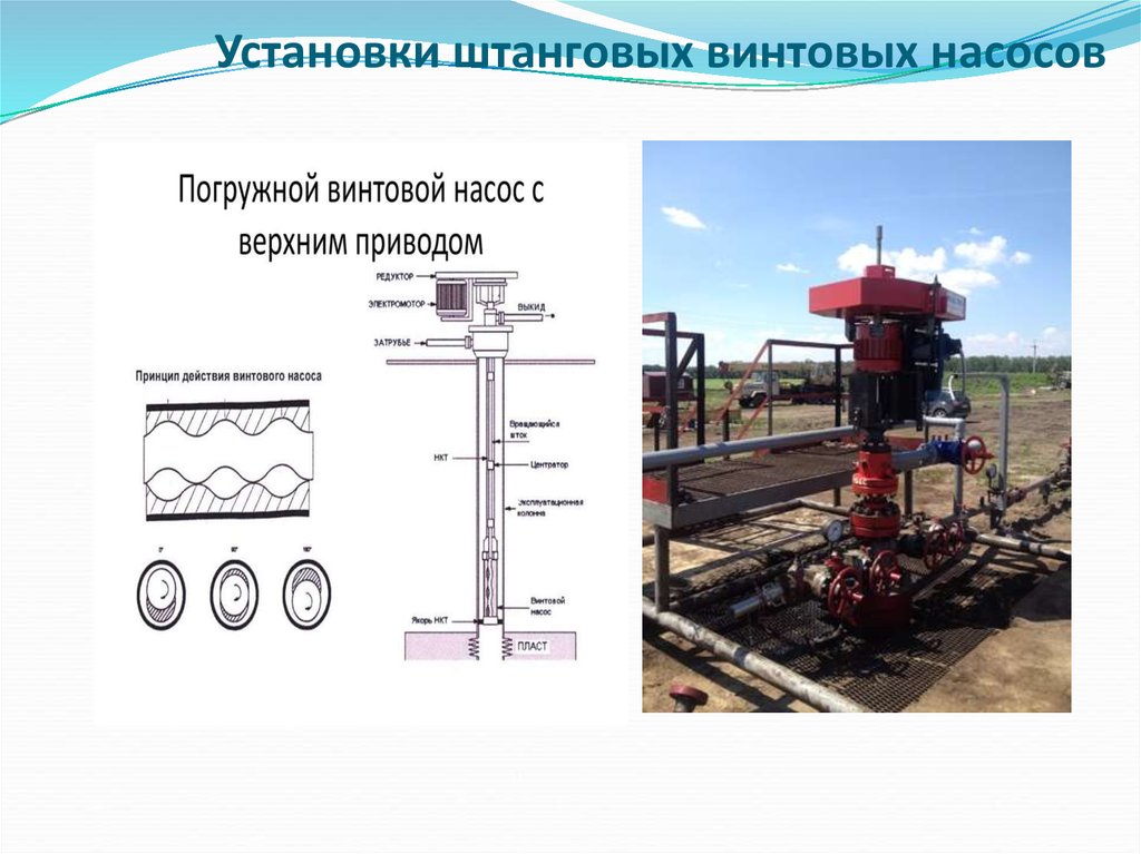 Установлен тема. Штанговый винтовой насос для добычи нефти. Штанговый винтовой насос (ШВН). Схема установка винтового штангового насоса. Привод винтового насоса.