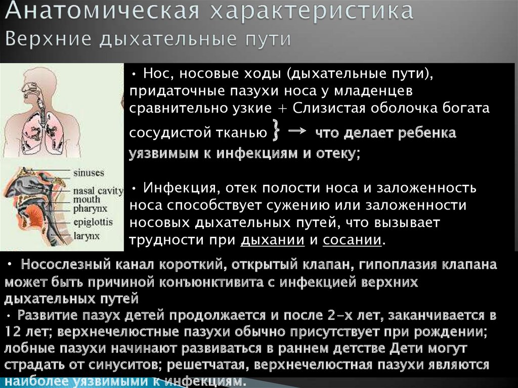 Повреждение верхних дыхательных путей. Заболевания дыхательных путей. Заболевания верхних дыхательных путей. Сестринский процесс при заболеваниях органов дыхания. Симптомы поражения верхних дыхательных путей.