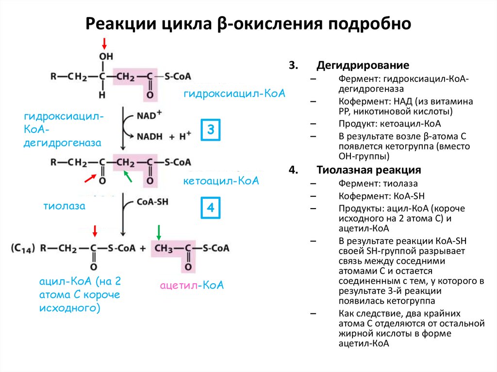 Отметь схему процесса окисления c 4 4e c0