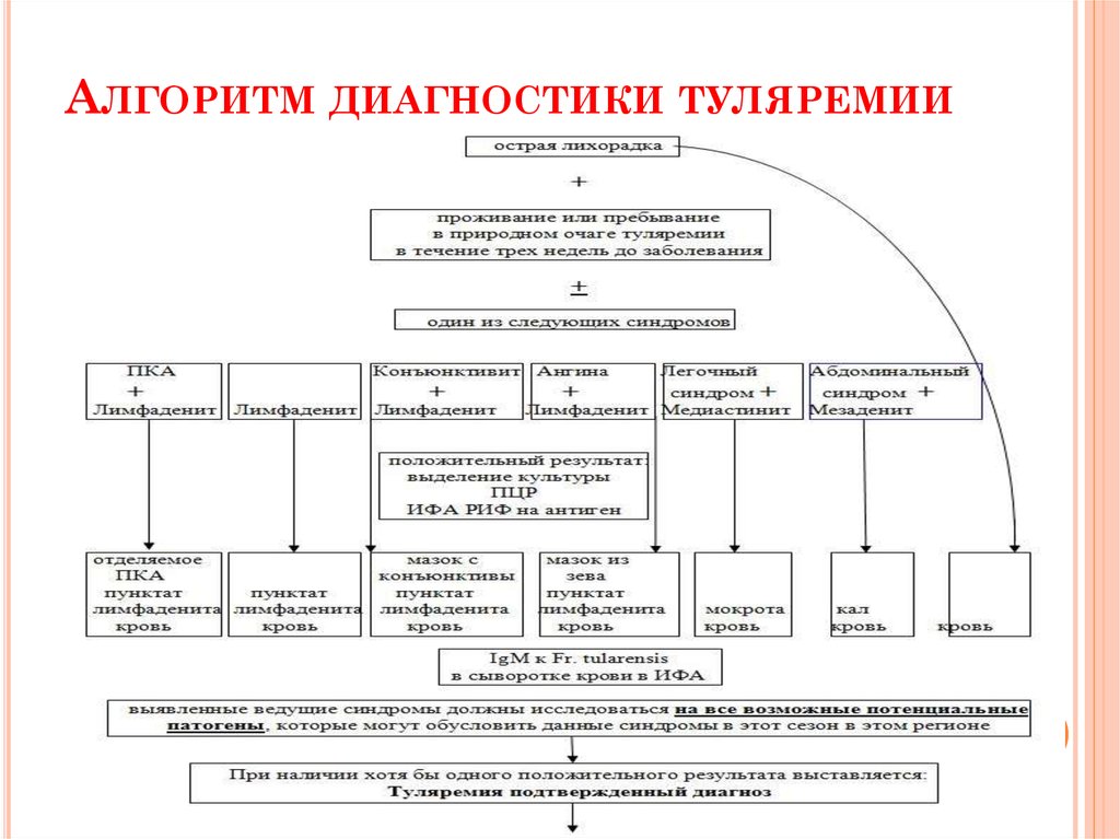 План обследования при туляремии