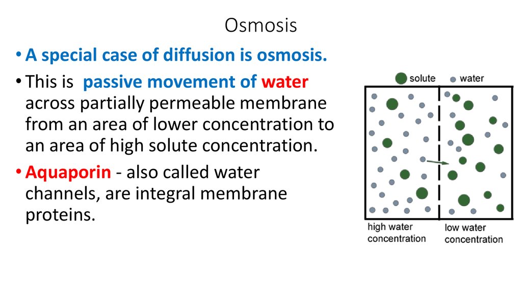 how are diffusion osmosis and active transport similarities