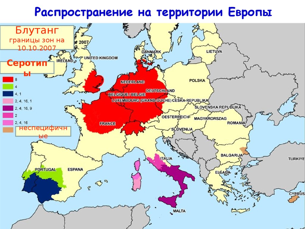 Территория европы. Блутанг распространение. Ничейная территория в Европе. Блутанг распространение в России.