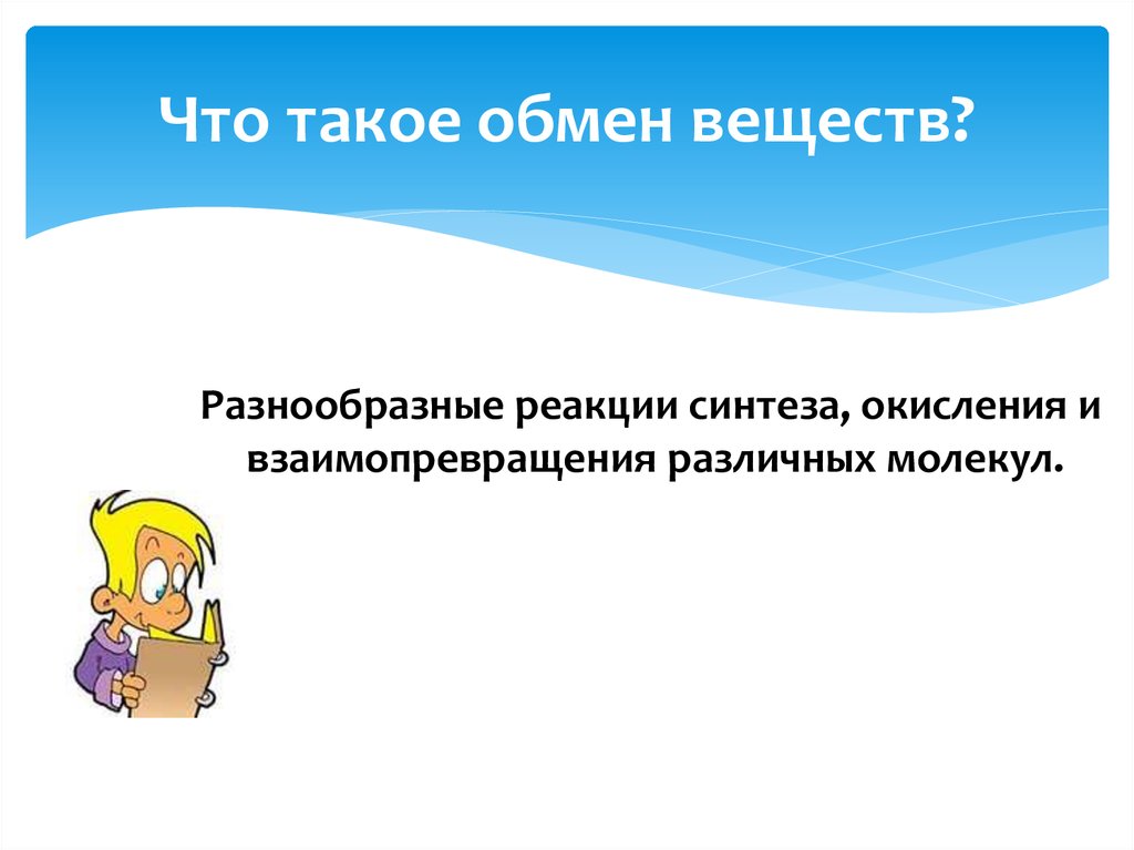 Что такое обмен веществ?