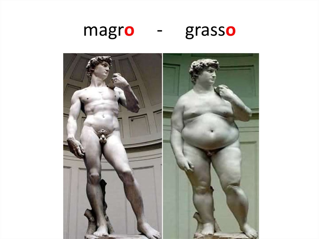 magro - grasso