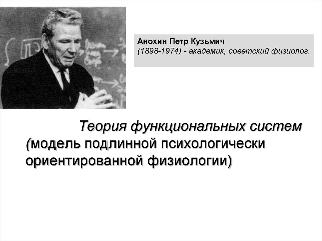 Автор теории функциональных систем. Петр Анохин теория функциональных систем. Анохин Петр Кузьмич (1898-1974). Анохин Петр Кузьмич теория функциональных систем. Петр Анохин физиолог.