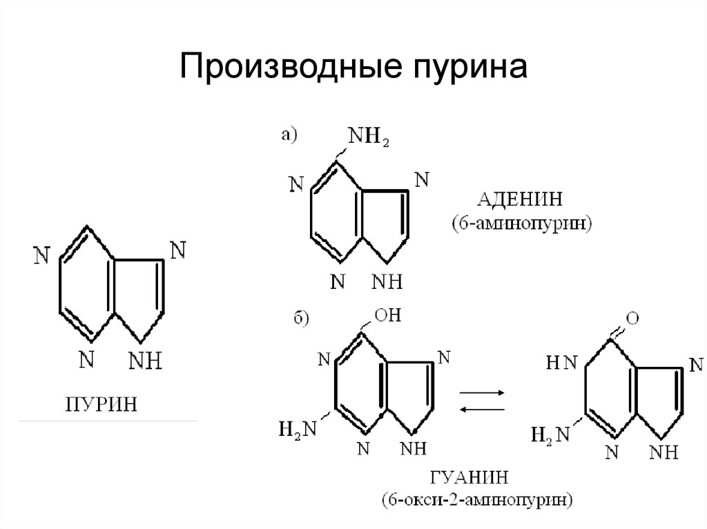 Производные пурина подлинность