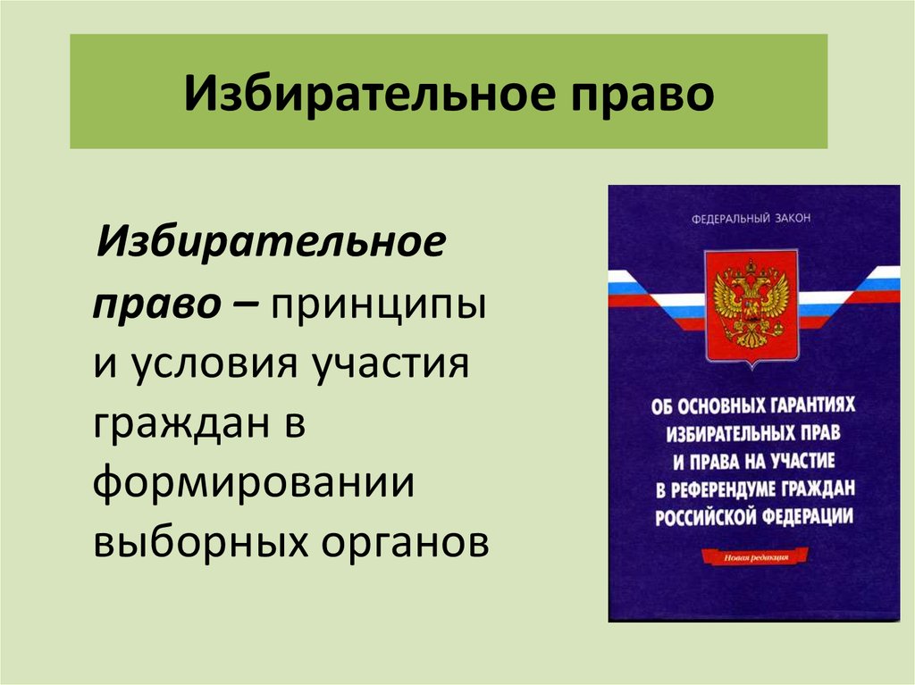 Избирательное право 10 класс презентация