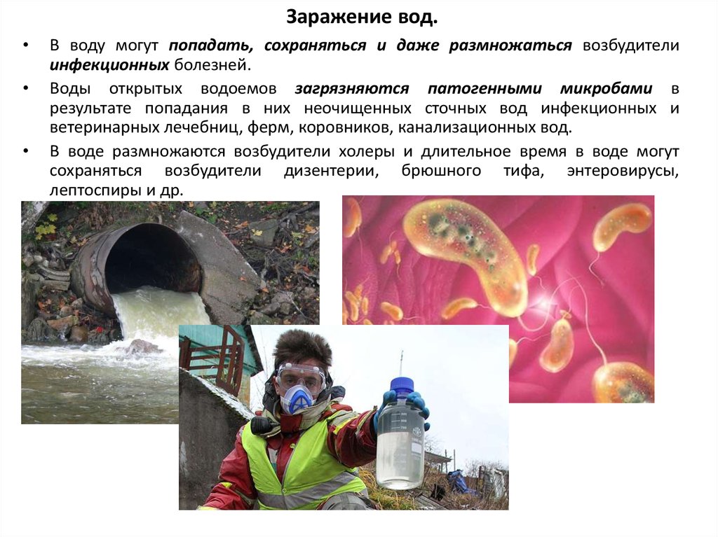 Заражение воды холерой в россии