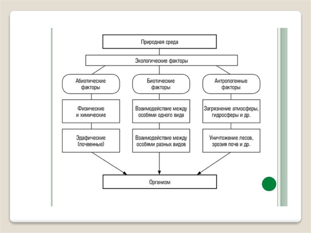Изобразите схему взаимодействий между компонентами окружающей среды процессами и явлениями