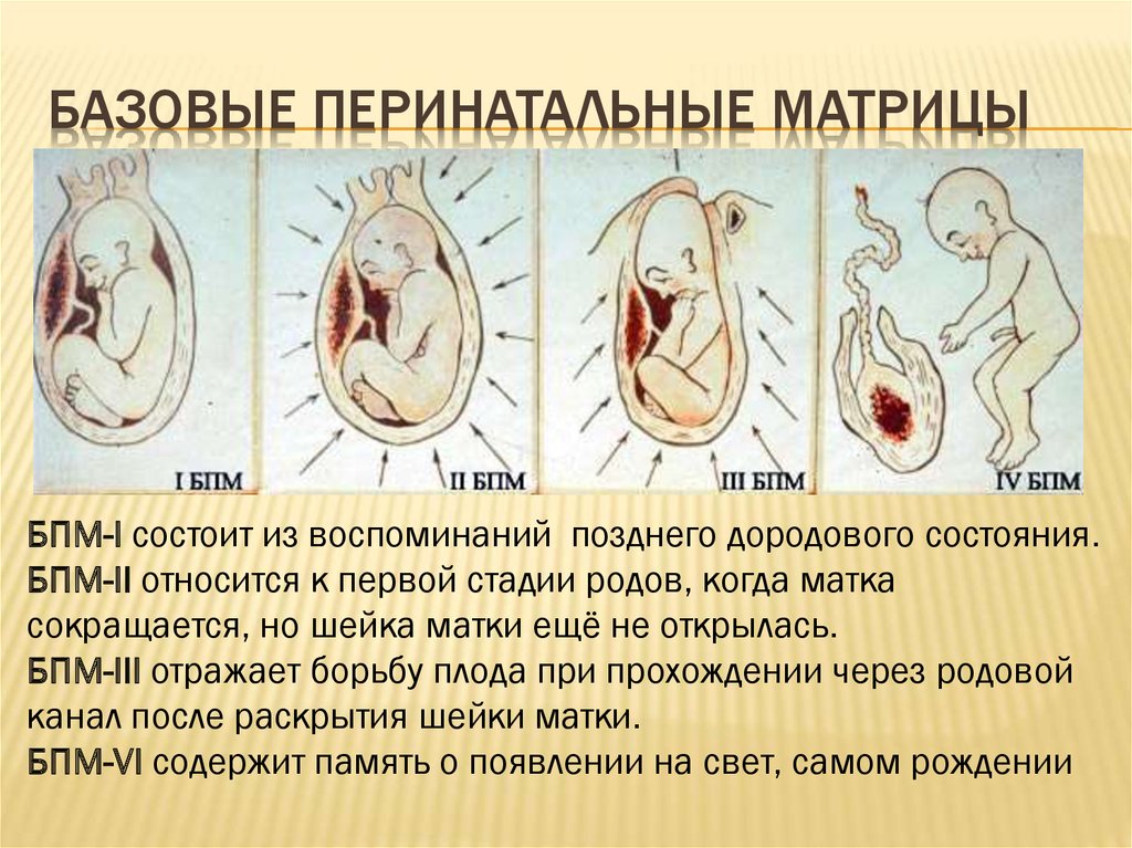 Этапы родов с картинками