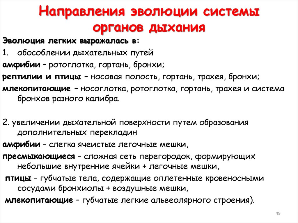 Направление развития системы. Направления эволюции дых системы. Эволюция дыхательной системы. Основные направления эволюции дыхательной системы позвоночных. Эволюция развития дыхательной системы.