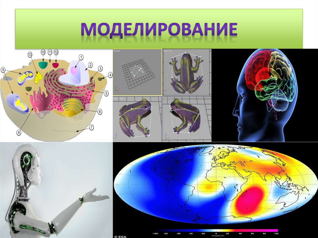 Методы изучения природы ответ. Методы изучения природы моделирование. Моделирование как метод изучения природы. Презентация о моделировании изучения природы. Нарисовать рисунок метода и моделирования изучения природы.