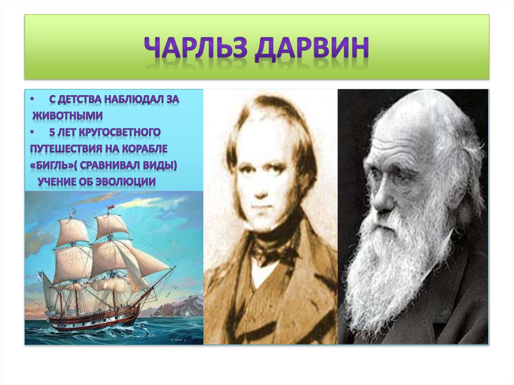 Ч дарвин кругосветное путешествие. Кругосветное путешествие Чарльза Дарвина. Корабль Чарльза Дарвина.
