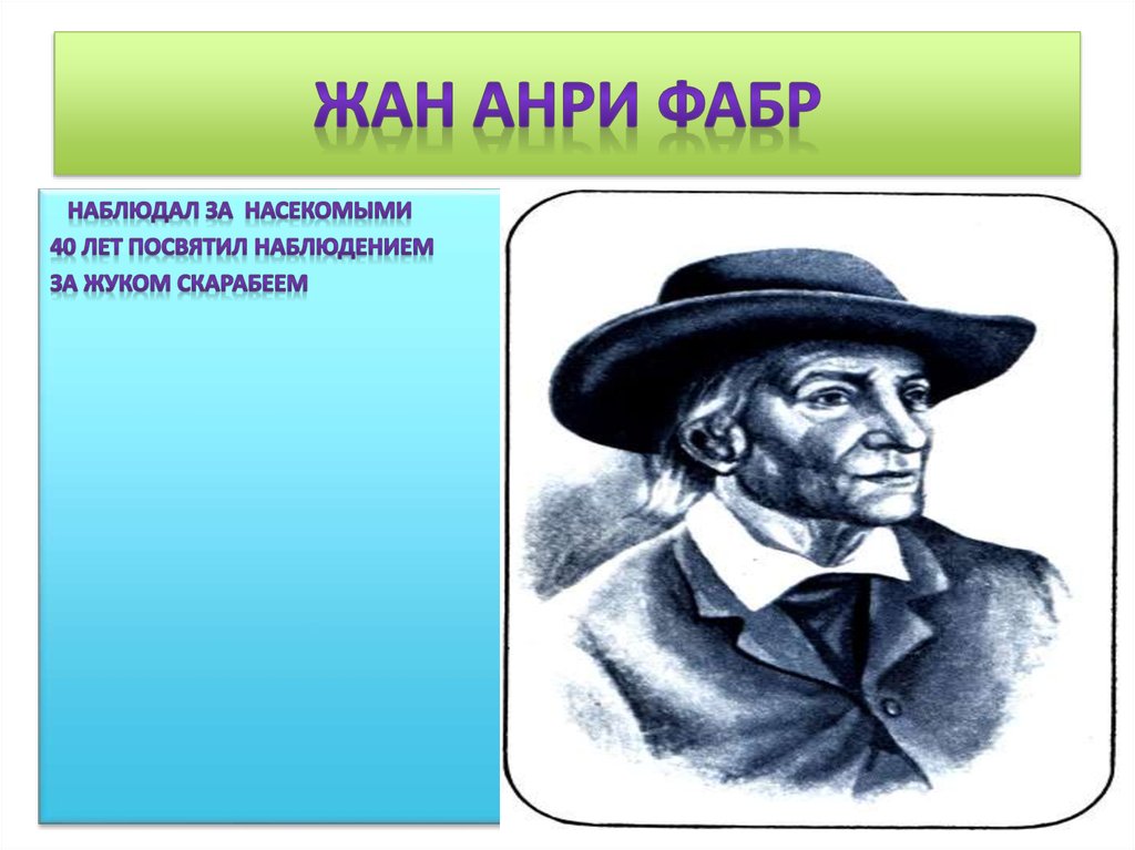 Жан Анри Фабр