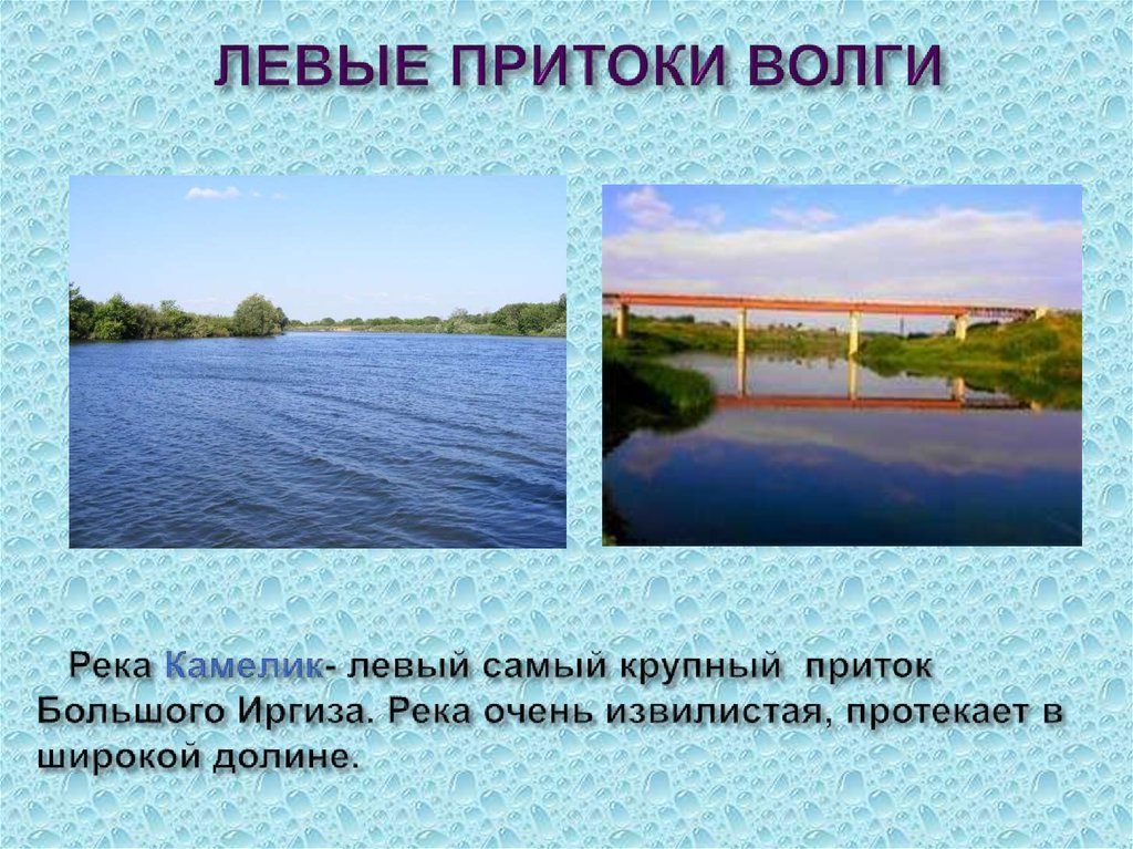 Самый крупный правый приток волги. Реки Волга притоки реки Волга. Левые притоки реки Волга. Левый приток Волги. Наиболее крупные притоки Волги.