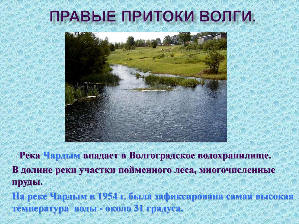 Крупные притоки реки волги. Приток. Притоки Волги. Притоки реки Волга. Правый приток Волги.