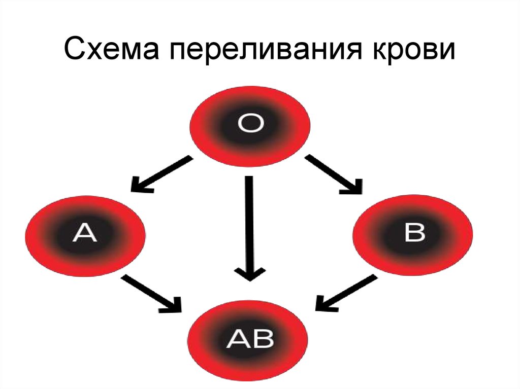 Переливание крови схема совместимости