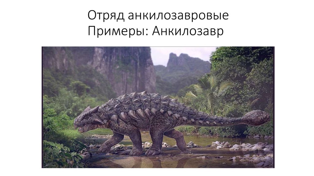Отряд анкилозавровые Примеры: Анкилозавр