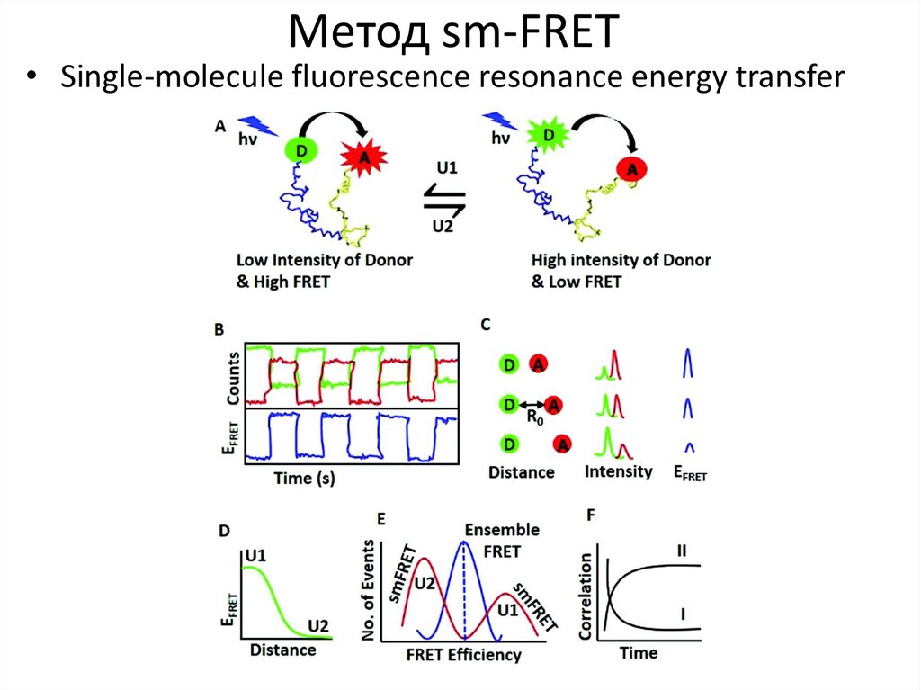 Метод sm-FRET