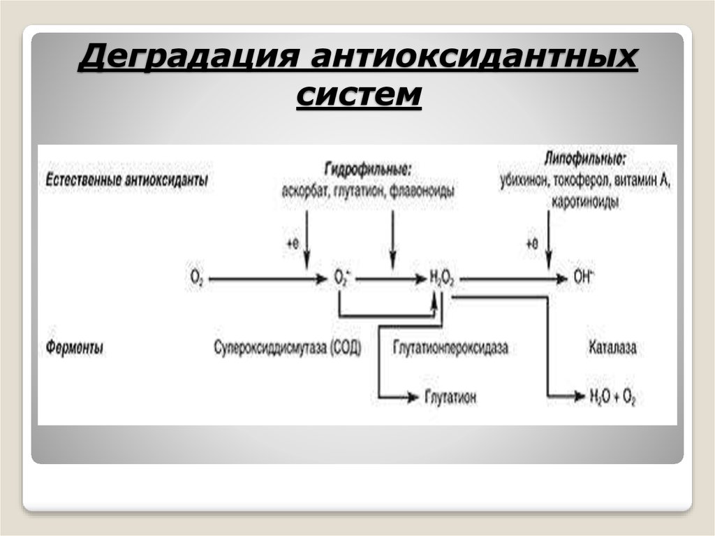 Схема деградации ионыча