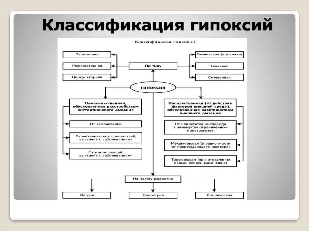 Виды гипоксии схема