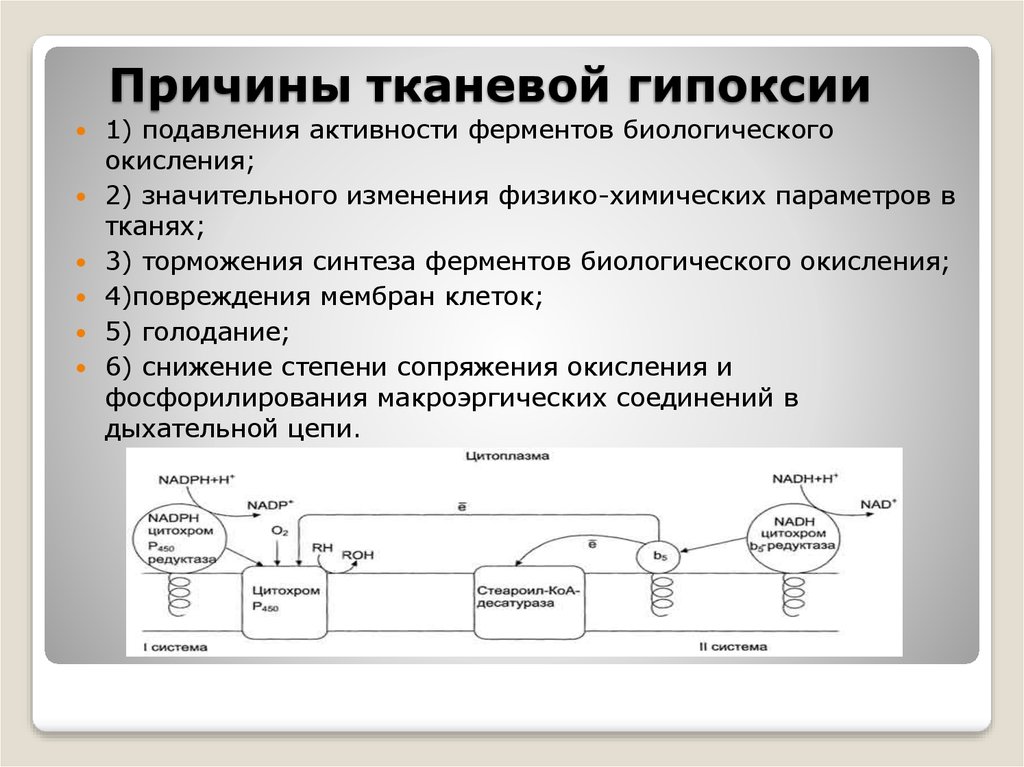 Виды гипоксии схема