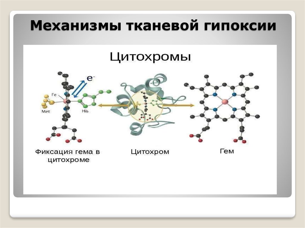 Гипоксия тканевого типа. Тканевая гипоксия механизм развития. Причины гипоксии биохимия. Причины тканевой гипоксии. Причины развития тканевой гипоксии.