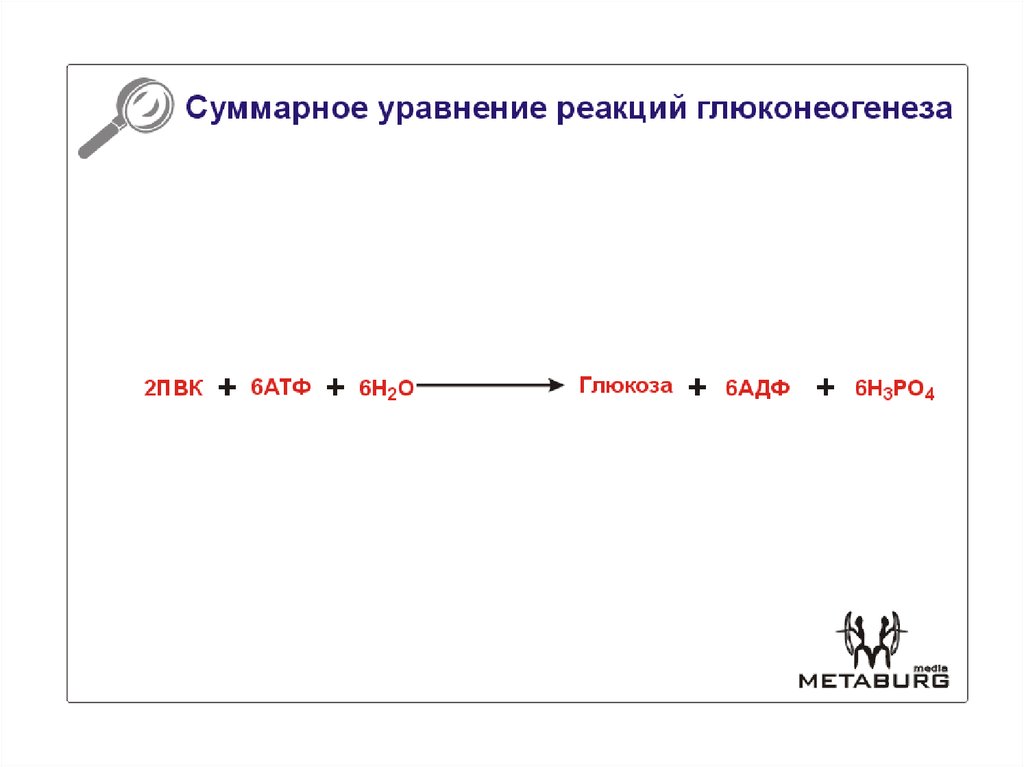 Суммарное уравнение. Суммарное уравнение синтеза Глюкозы. Суммарное уравнение глюконеогенеза из пирувата. Суммарное уравнение глюконеогенеза. Суммарная реакция глюконеогенеза.