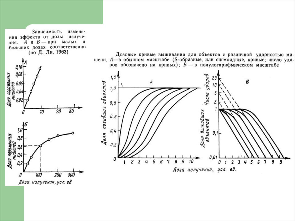 Зависимость 2 1 4. Кривая радиоактивного распада в полулогарифмическом масштабе. Определение радиочувствительности по кривым доза эффект.