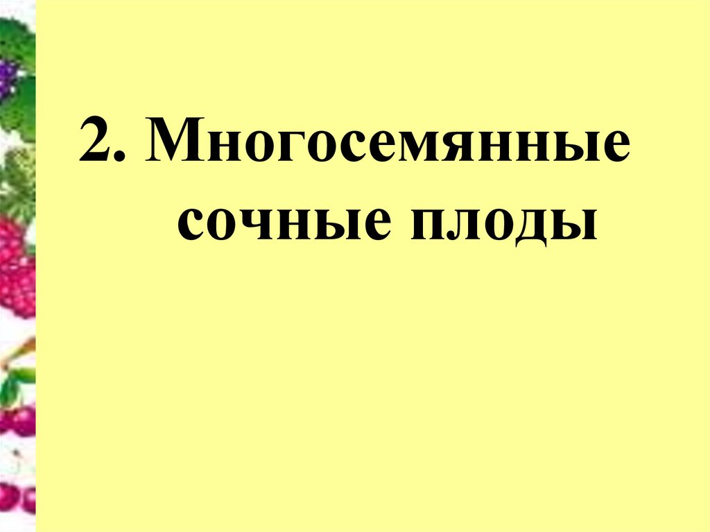 Сочные многосемянные плоды