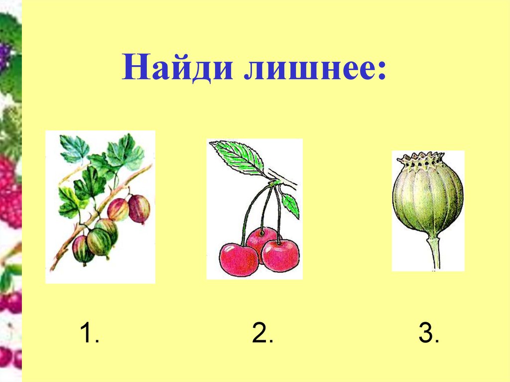 Какой плод 1. Типы плодов Найди лишнее. Плоды 1 класс. Соотнеси плоды и растения. Сочный плод с 1 семенем.