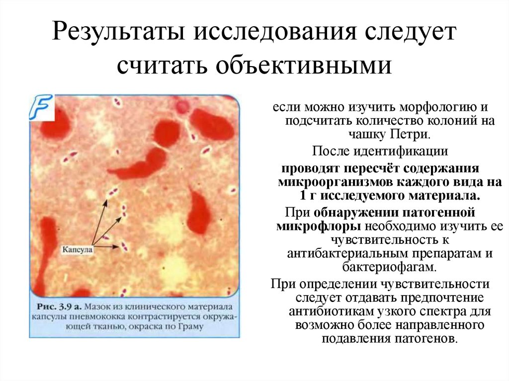 Следует считать