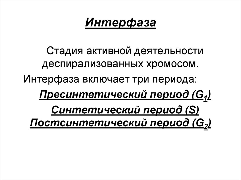 Синтетический период. Интерфаза включает три период. Интерфаза включает 3 периода. Деспирализованное. Троя активная фаза.