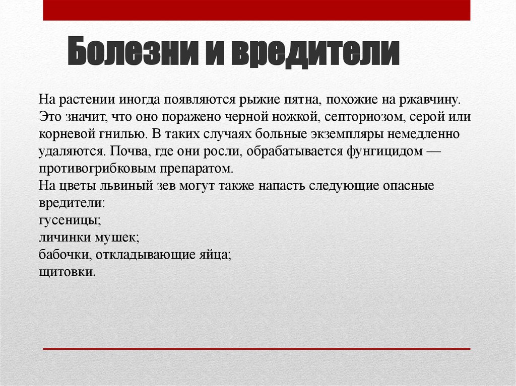 Болезни и вредители