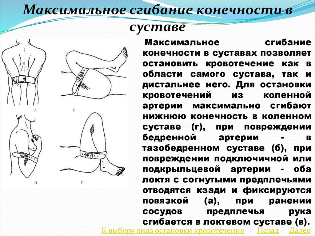 Максимальное сгибание