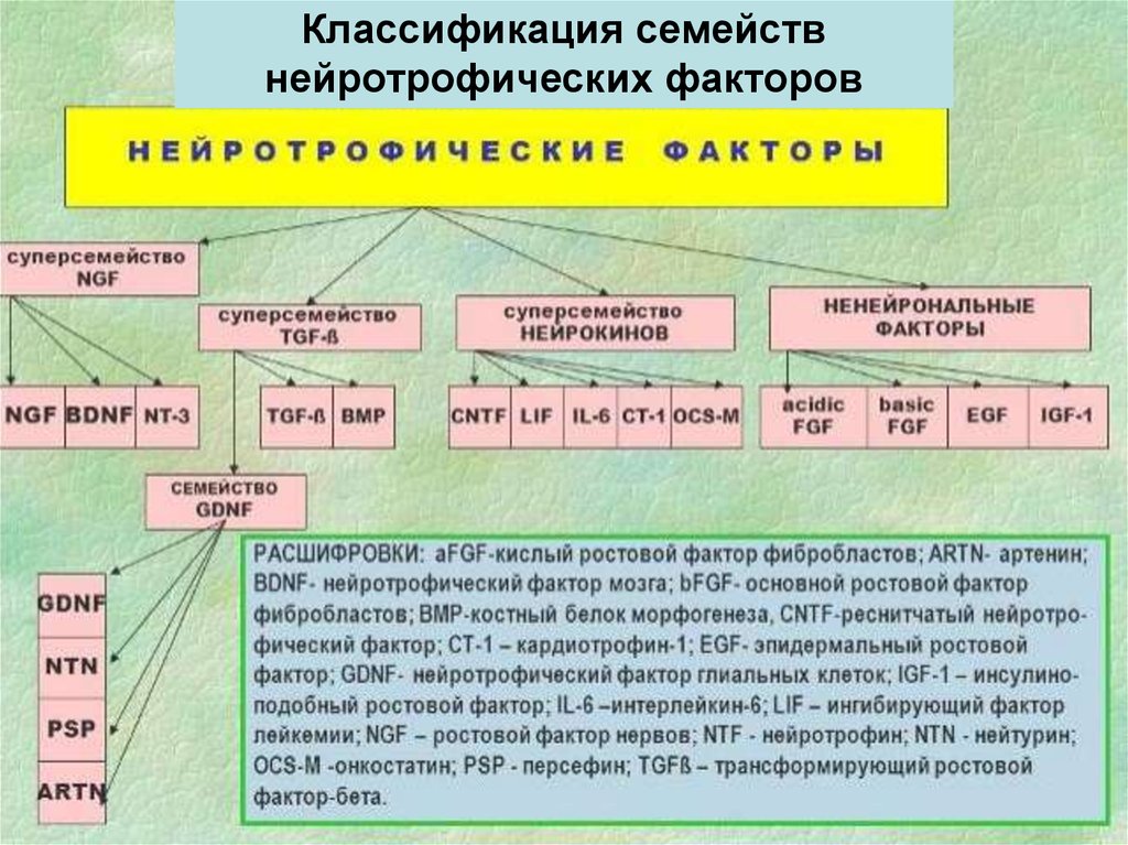 Градация факторов. Нейротрофические факторы. Классификация нейротрофических факторов. Классификация семьи. Семейство классификация.