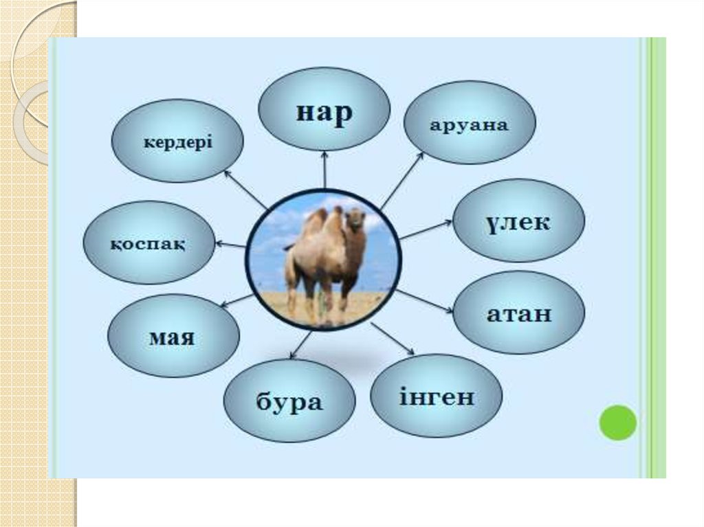 2 сынып әдебиеттік оқу презентация