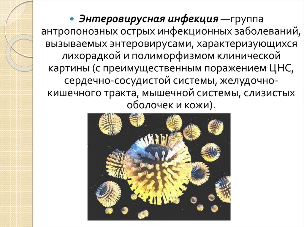 Презентация энтеровирусная неполио инфекция