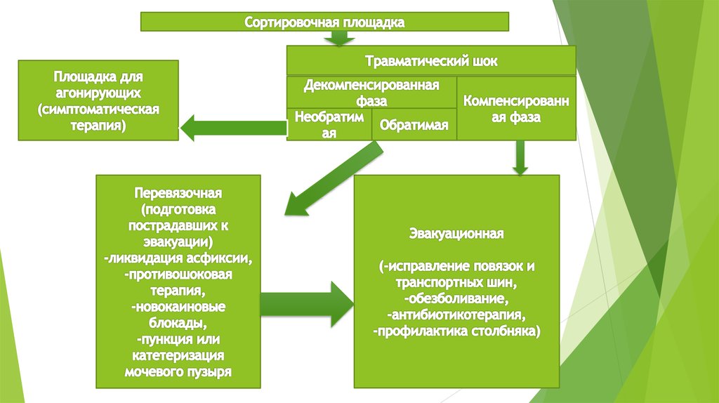 Травматическая асфиксия презентация