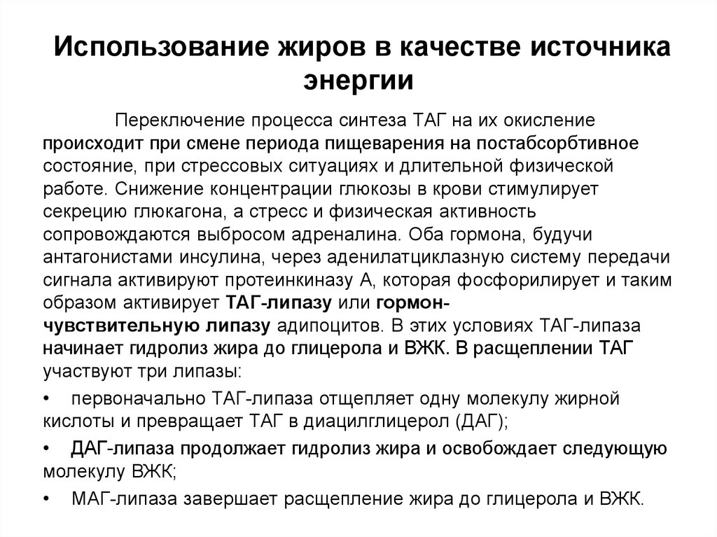 В качестве источников. Какие жиры используются в качестве источника энергии?. Жир в качестве энергии. Какие жиры используются в качестве основного источника энергии. Жир - главный источник энергии.