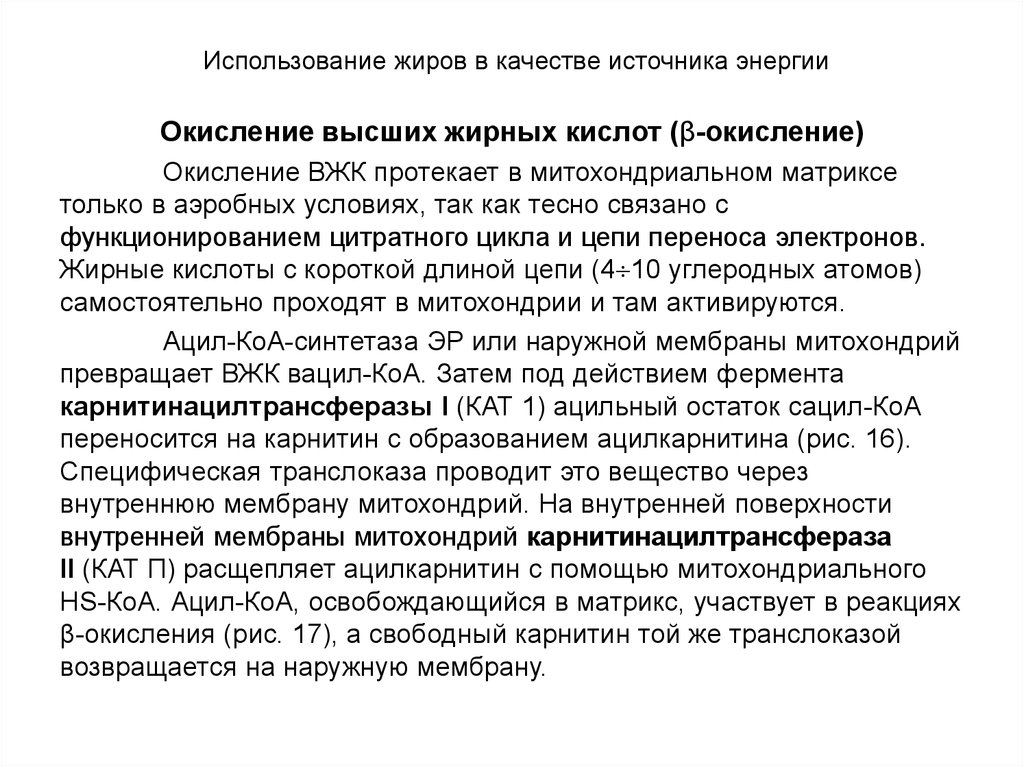 Использованный жир. Образование ацилкарнитина. Использование жиров в качестве источника энергии в покое. Высших жирных кислот источник энергии. Карнитин-ацилкарнитин транслоказы.