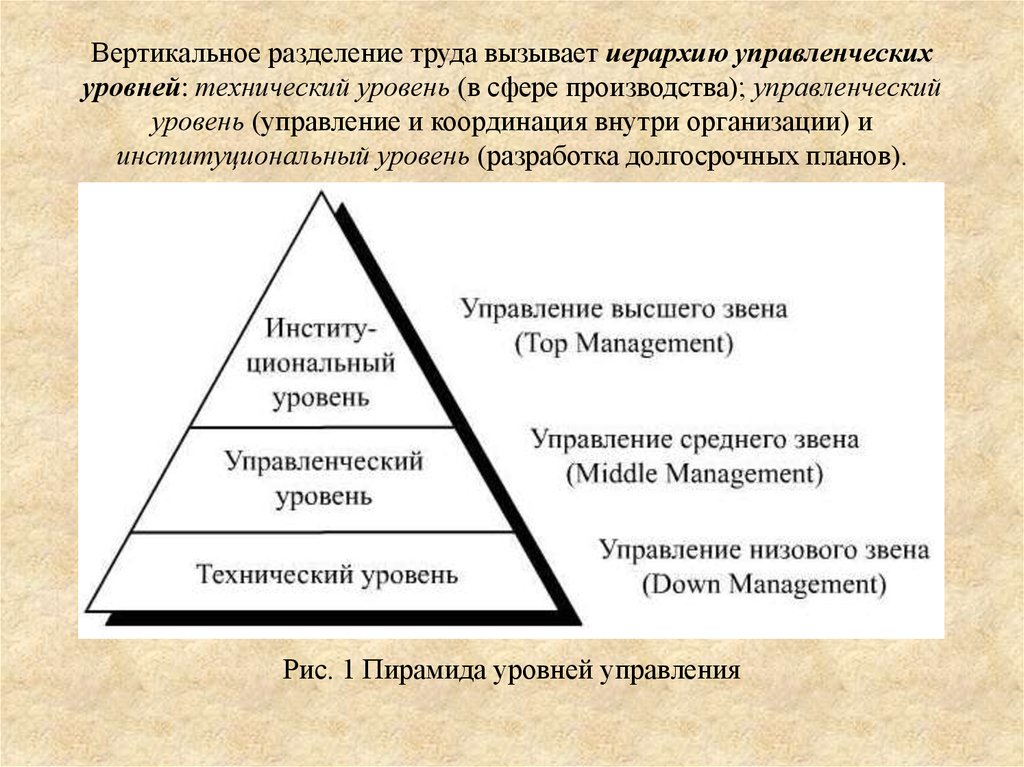 Роль уровней управления. Вертикальное Разделение управленческого труда. Уровни управления вертикального разделения труда. Иерархия уровней управления. Уровни управления в организации.
