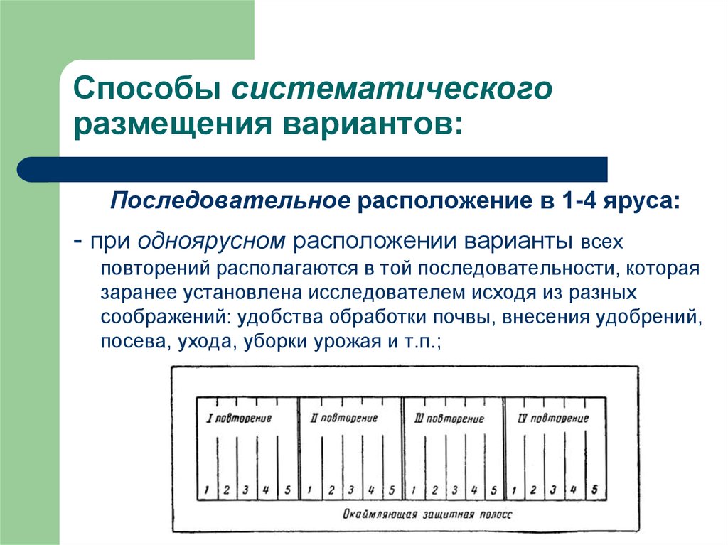 Часть площади опытного участка включающего делянки с полным набором вариантов схемы опыта