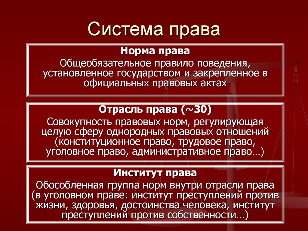 Презентация система права основные институты отрасли права