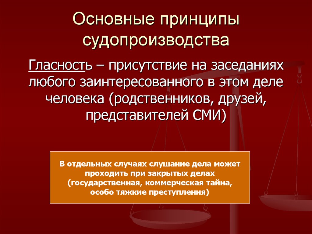 Принципы судебного разбирательства презентация