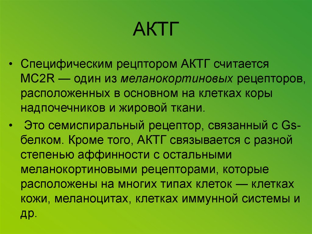 АКТГ Рецептор. АКТГ гормон клетки мишени. Адренокортикотропный гормон клетки мишени. Кортикотропин гормон клетки мишени.