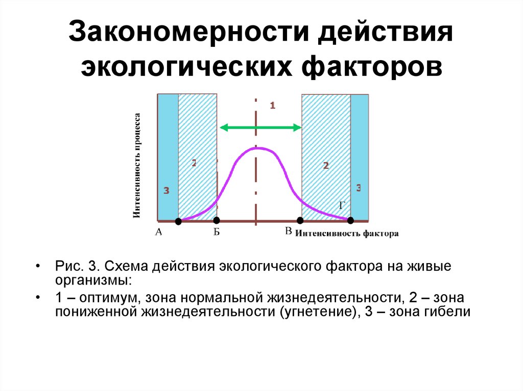 Схема действия экологических факторов