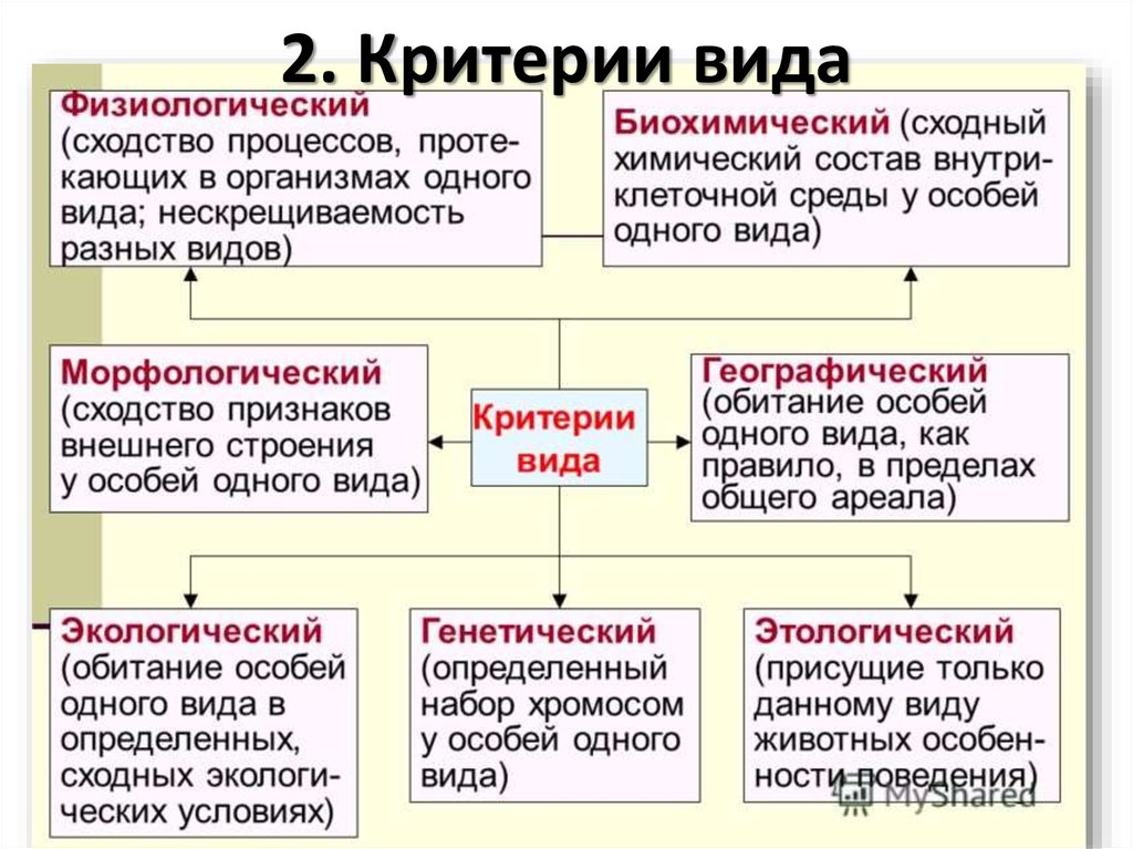 Критерии вида схема