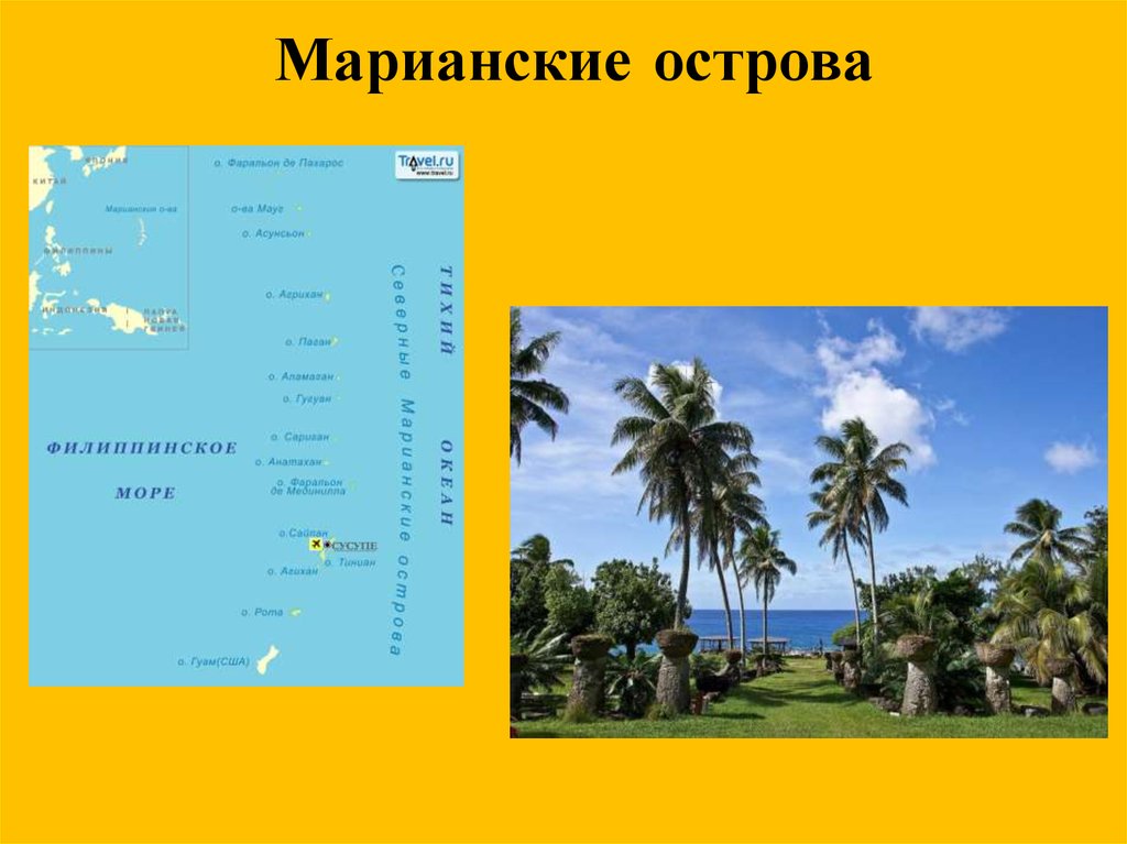 Австралия и океания презентация 7 класс. Международный туризм в Океании. Океания презентация. Международный туризм Австралии. Виды туризма в Австралии и Океании.