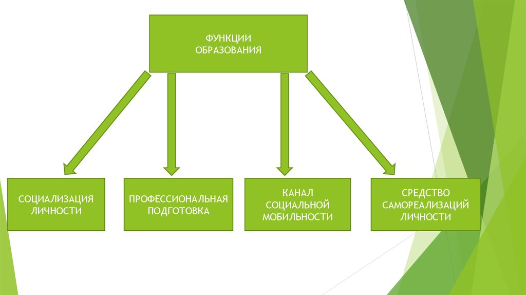 Наука в современном обществе проект по обществознанию